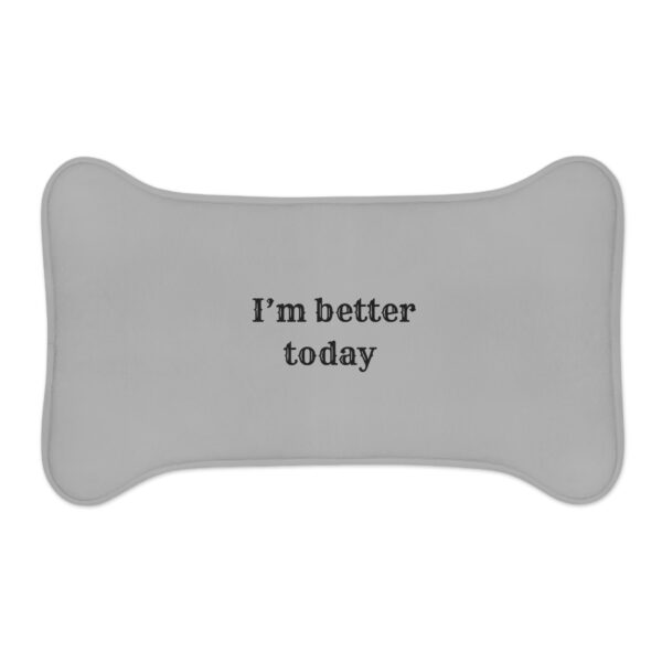 I'm Better Today Pet Feeding Mats